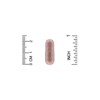 HealthyBiom Women's Cranberry Probiotics, 10 Billion CFU, 30 Veggie Capsules - 3 of 3