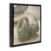 Stupell Industries Centered Sharkeye Seashell, 18" x 18" - 3 of 4