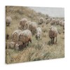 Stupell Industries Rural Cattle Grazing Field, 16" x 20" - 3 of 4