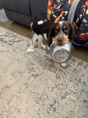 Guest review image 1 of 3, zoom in