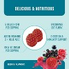 Prebiotic + Probiotic Gummies, 5 Billion CFU Probiotics for Gut Health, Digestion, & Immune System Support, Berry Flavor, MAV Nutrition, 60ct - 4 of 4