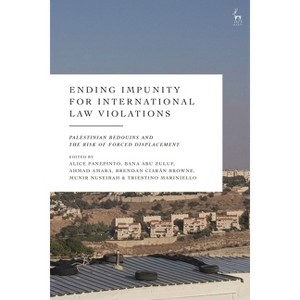Ending Impunity for International Law Violations - by  Alice Panepinto (Hardcover) - 1 of 1