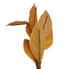 Faux Foliage Magnolia Leaf - Bullseye's Playground™ - 3 of 4