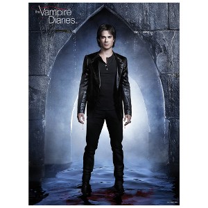 The Vampire Diaries Dark Damon 500 Piece Jigsaw Puzzle 16" x 21.5" - 1 of 4