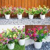 Artificial Flowers for Outdoors, 30 Bundles Multicolor Silk Fake Flowers with Ferns, UV-Resistant Faux Plant, for Home Planter Porch Patio Yard - 4 of 4
