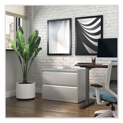 Light Gray Steel 2-Drawer Lockable Lateral File Cabinet