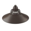 Millennium Lighting R Series 1 - Light Pendant in  Architectural Bronze - 2 of 3