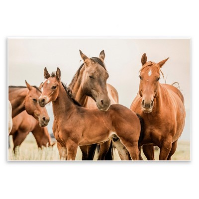 Stupell Industries Horse & Foals Photography, 19" x 13"
