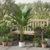 Orieon 3.8FT Artificial Bird of Paradise Tree, Tall Faux Banana Leaf Plant with Planter for Indoor Outdoor Home Office Decor - 4 of 4
