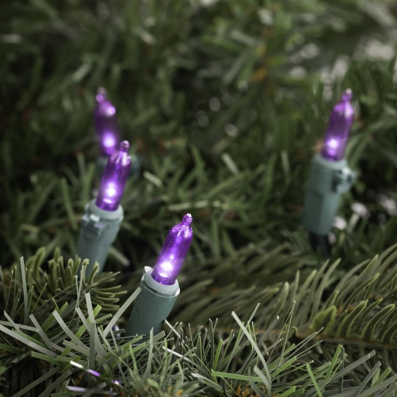 Northlight 100-Count Purple LED Mini Christmas Lights, 33ft Green Wire, 2 of 7