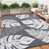 Outdoor Modern Large Area Rugs for Camping RV Patio Auto Erasable Lightweight Plastic Straw Rug for Garden Backyard Reversible Portable Picnic Mat - 2 of 4