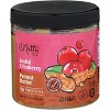 B Nutty Peanut Butter Cranberr - Case of 6 - 9 Oz - 2 of 2