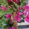 Bougainvillea Artificial Tree With Flowers And Leaves, Lightweight Artificial Tree In Pot Home Decor For Indoor Outdoor Home Office Living Room - 4 of 4