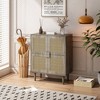 Bella Depot 4-Doors Rattan Mesh Storage Cabinet - 3 of 4