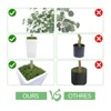 Artificial Tree in Pot with Realistic Leaves & Natural Wood Trunk 5FT/6FT/7FT/8FT - 3 of 4