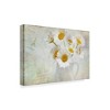 16" x 24" Daisies Paris Vintage by Cora Niele - Trademark Fine Art - 2 of 4
