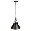 Artcraft Lighting Brydon 1 - Light Pendant in  Black - 4 of 4