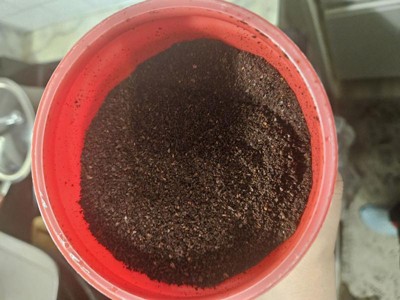 Guest review image 1 of 4, zoom in