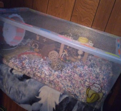 Guest review image 1 of 2, zoom in