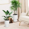 14.2" Tall Planters Set of 2, Self Watering Pots with Built-in Drainage and a Water Level Monitor - 2 of 4