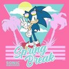 Girl's Sonic the Hedgehog Cool Spring Break T-Shirt - 2 of 3