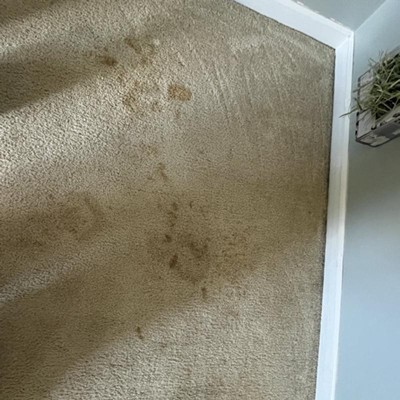 Guest review image 2 of 2, zoom in
