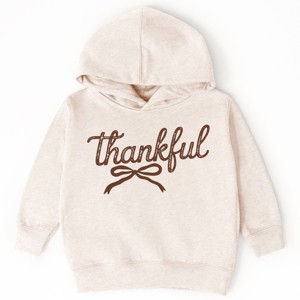 Thankful Coquette Distressed - Toddler Hoodie and Youth Graphic Hoodie - 1 of 3