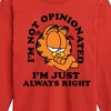 Boys' - Garfield - Always Right Long Sleeve Graphic T-Shirt - 2 of 4