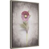 Amanti Art Vintage Hellebore Study VI by Felicity Bradley Framed Canvas Wall Art - 3 of 4