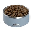 Hydrapeak Non Slip Stainless Steel Dog Bowl - 2 of 4