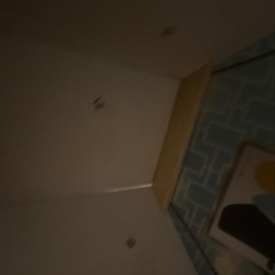 Guest review image 3 of 4, zoom in