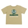 NCAA Colorado State Rams Toddler Boys' 2pk T-Shirt - 3 of 4