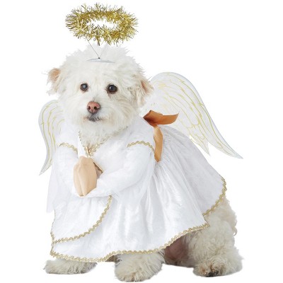  CALIFORNIA COSTUME COLLECTIONS Pet SILVER SCREEN STARLET Dog  Costumes, White, X-Small US : Pet Costumes : Pet Supplies