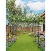 Garden Arch Trellis for Climbing Plants Metal Outdoor Arbor with Rust-Resistant Coating - Perfect for Weddings, Patio, Lawn Decor & Vine Support - 2 of 4