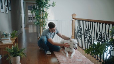 White Metal Pressure Mounted Stairway Safety Gate