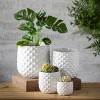 Sullivans 7", 6", 4.5" & 3" Faceted Glazed Ivory Planters Set of 4, White - 3 of 4
