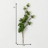 Sullivans Artificial Sedum Succulent Stem 13" Green - 3 of 3