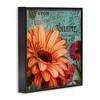 Stupell Industries Daisies with Antique French Backdrop, 24" x 24" - 3 of 4