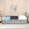 Twin Size Platform Bed with 2 Drawers for Bedroom - 4 of 4