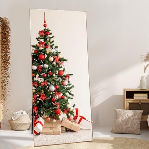 Garvee Full Length Mirror 71 * 31, Oversized Full-Body Hanging or Leaning Rectangle Mirror for Bedroom, Living/Dressing Room, Gym - 1 of 4