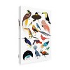 Trademark Fine Art - Hanna Melin Birds of Paradise Canvas Art - 4 of 4