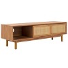 Aino 2 Door Media Stand - MED9619 - Safavieh - 3 of 4