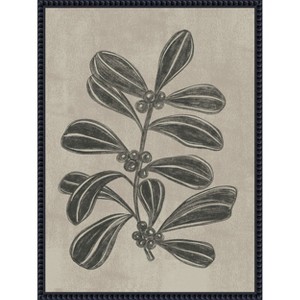 Amanti Art Winter Berry ll by Nikita Jariwala Canvas Art Framed - 1 of 4