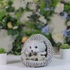 Roman 7.5" Gray and White Outdoor Hedgehog in Rain Boots Garden Statue - image 3 of 3