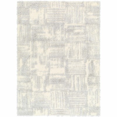 Hauteloom Iduia Gray Plush Area Rug