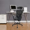 Dexmalle Ergonomic Office Chair with Adjustable Lumbar Support - 3 of 4