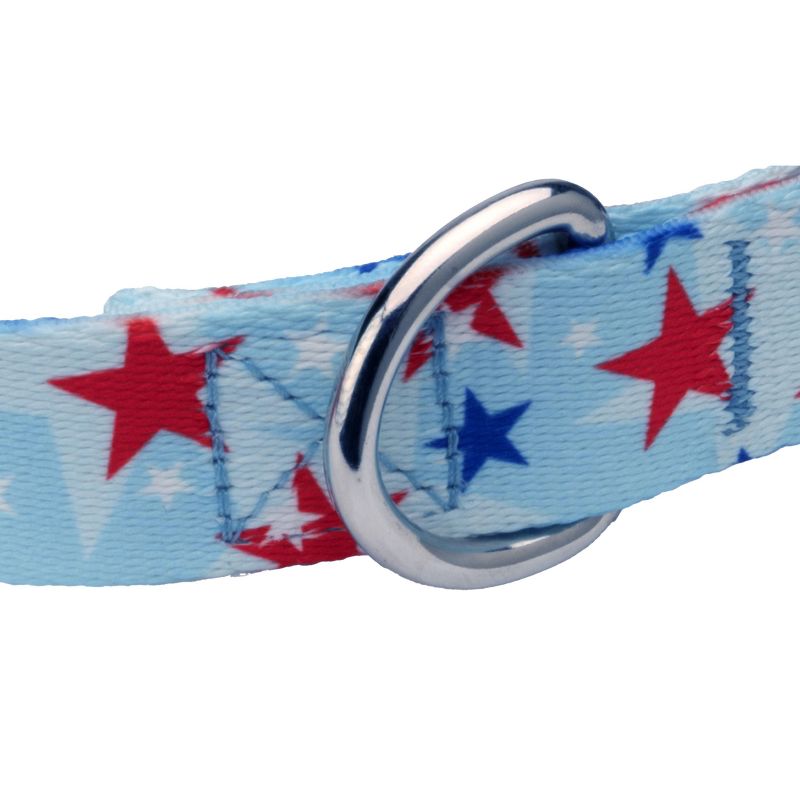 Country Brook Petz Deluxe American Celebration Dog Collar - Made in the U.S.A., 5 of 6