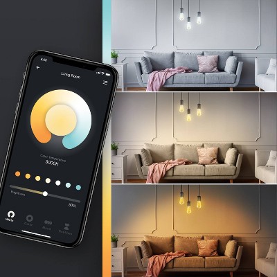 Smart 60W Amber Glass Tunable White Edison LED Bulb