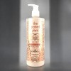 The Potted Plant Hemp Pumpkin Spice Body Lotion - 16.9oz - Harvest your Softest Skin - 2 of 4