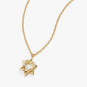 Alex and Ani Star of David Heart Necklace -14kt Gold Plated - 1 of 2